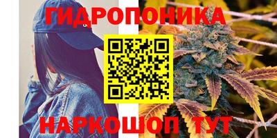 ECSTASY Изобильный