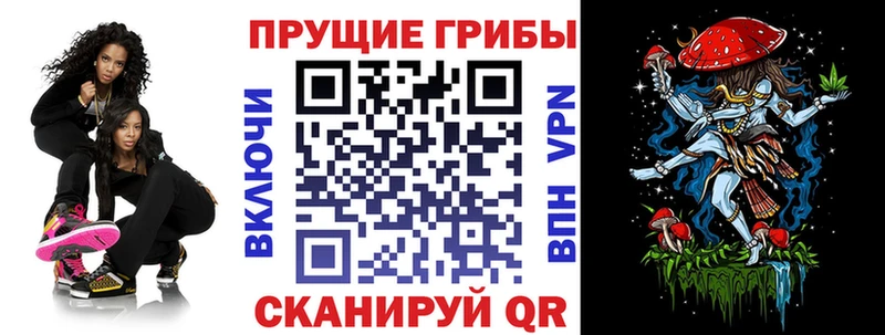 Псилоцибиновые грибы MAGIC MUSHROOMS  где найти наркотики  мега зеркало  Кыштым 